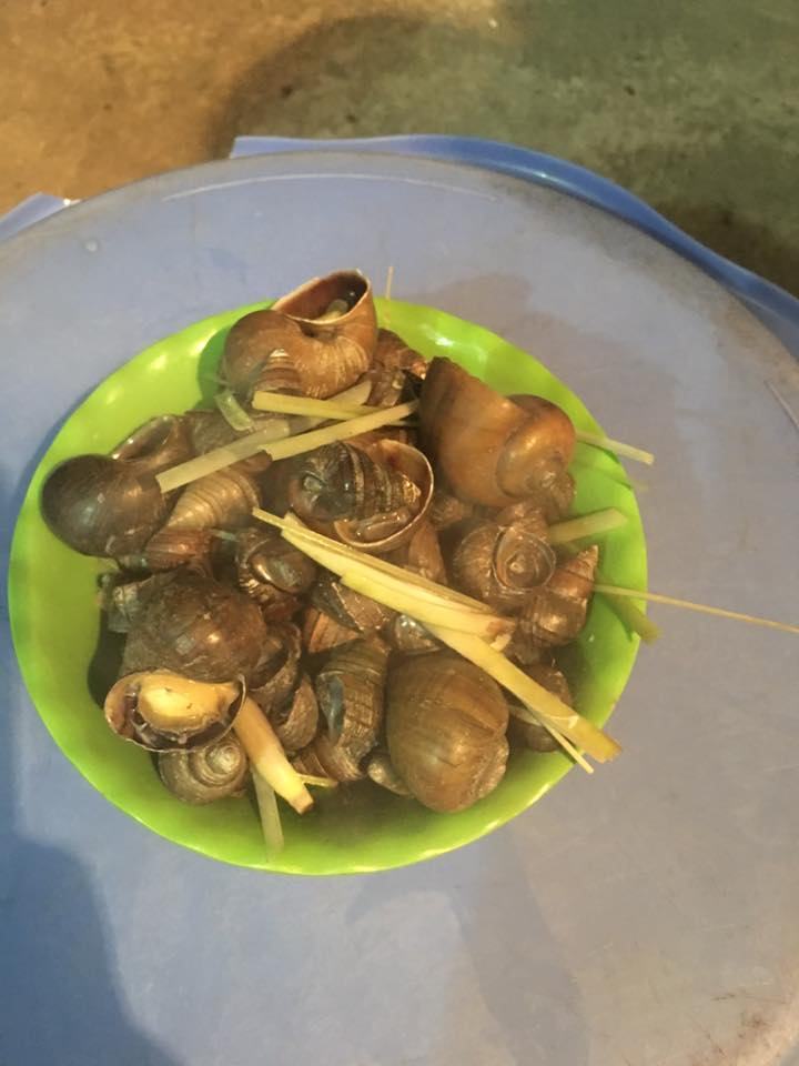 Tuan Kieu snail - Tran Khat Chan