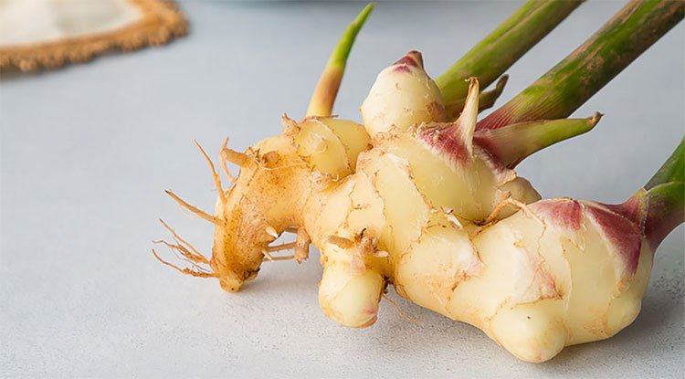 GINGER removes back acne quickly