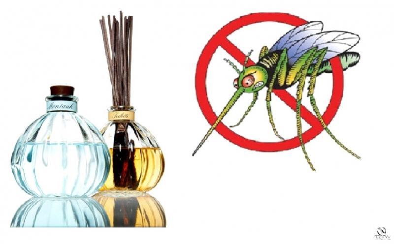 Use insect repellent to protect yourself and your family