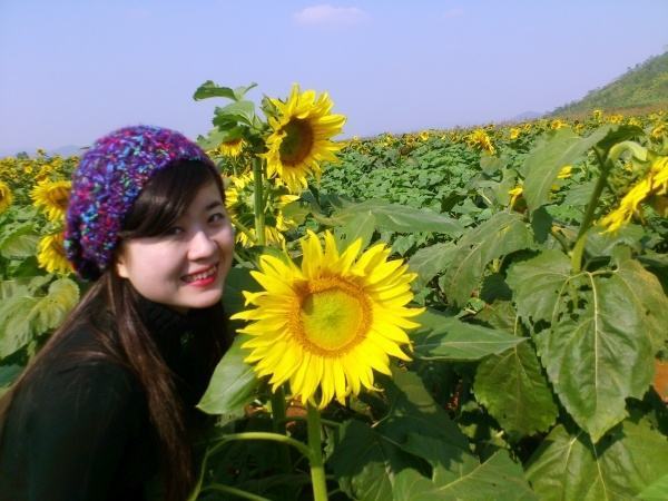 The sunflower field is the ideal check-in place for young people