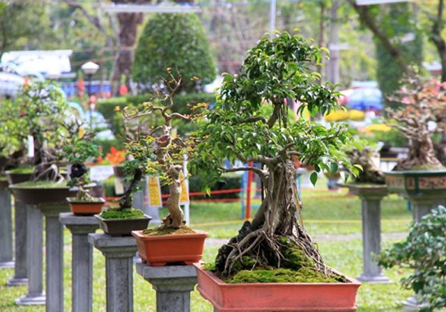 Ornamental plants are planted elaborately