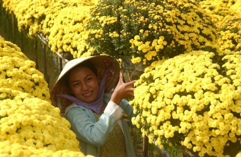 Nghi Tam flower village