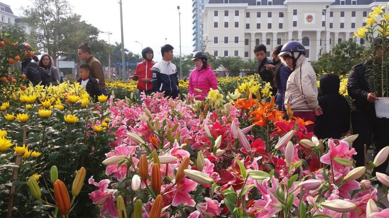 Da Nang Tet flower market