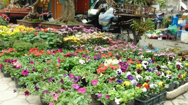 A corner of Hoang Hoa Tham flower market