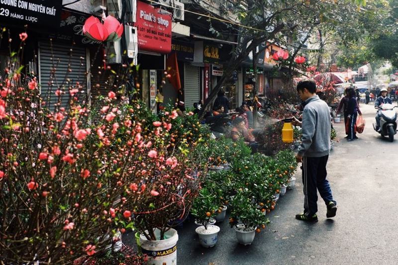 Hang Luoc flower market