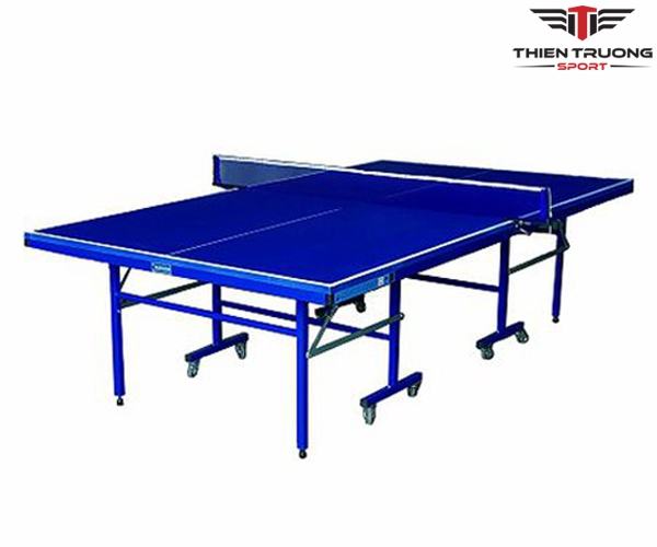 Duc Long PT 04 table tennis table.