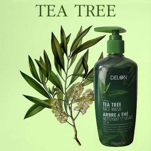 DELON TEA TREE FACE WASH 325ML