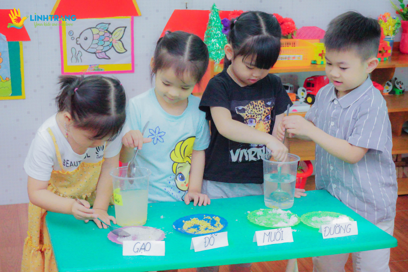 Linh Trang High Quality Kindergarten Cs1