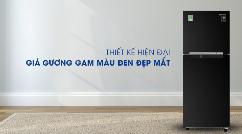 Samsung Inverter Refrigerator 208 liters RT20HAR8DBU/SV