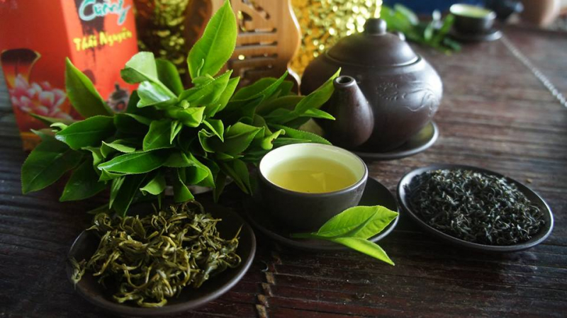 Ancient Vietnamese tea loc top - tea peaks in Tan Cuong, Thai Nguyen