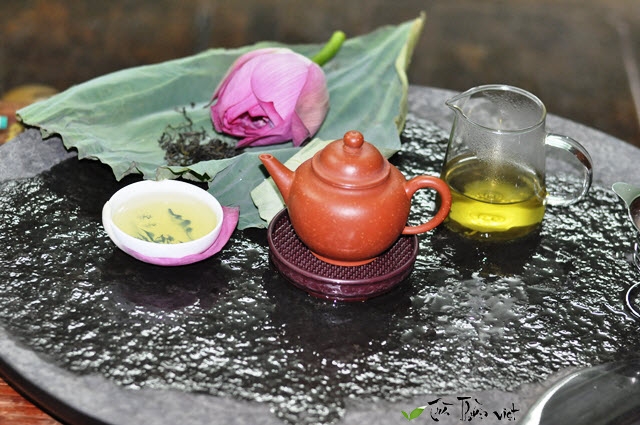 Tay Ho Lotus Tea
