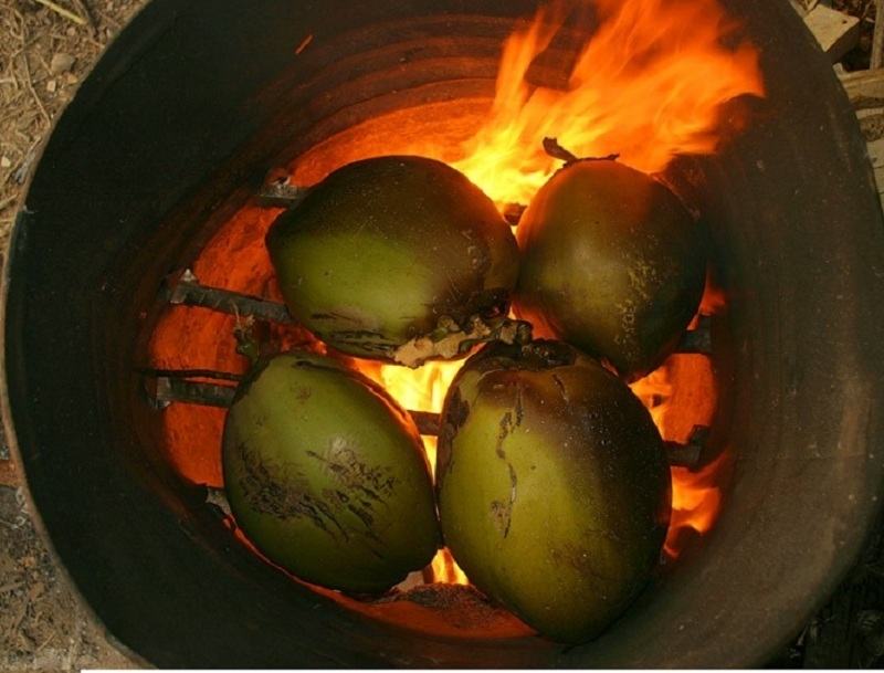 The coconuts will be grilled on the charcoal stove