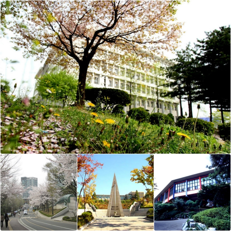 Beautiful pictures at Sogang . University