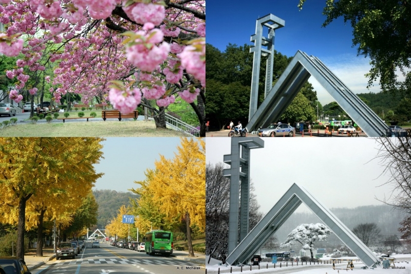 The beautiful four seasons scene at Seoul National University