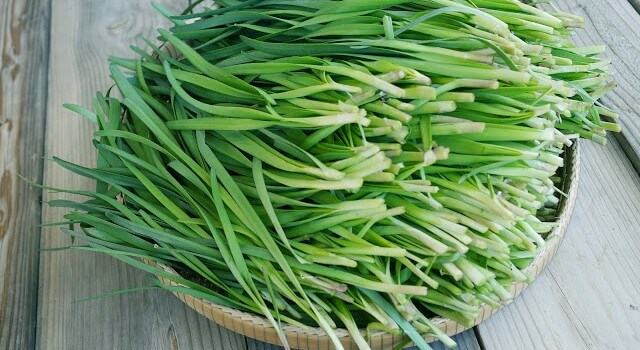 How to treat cough with chives