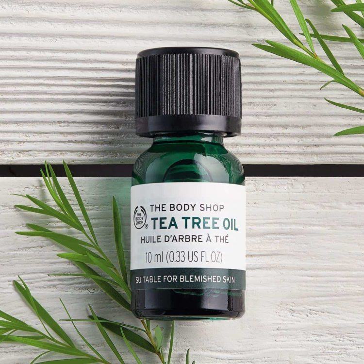 Tea tree oil has antibacterial and anti-inflammatory properties