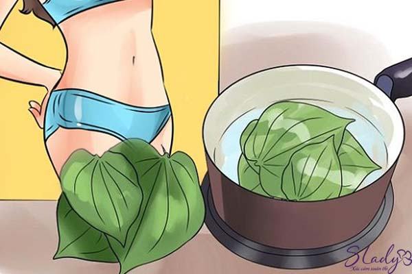 Treating gynecological infections with betel leaves has become quite popular and chosen by many women