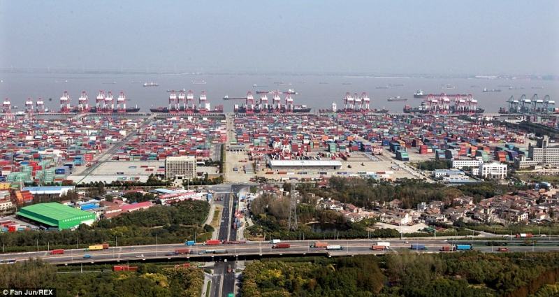 The Largest Port of Shanghai in the World