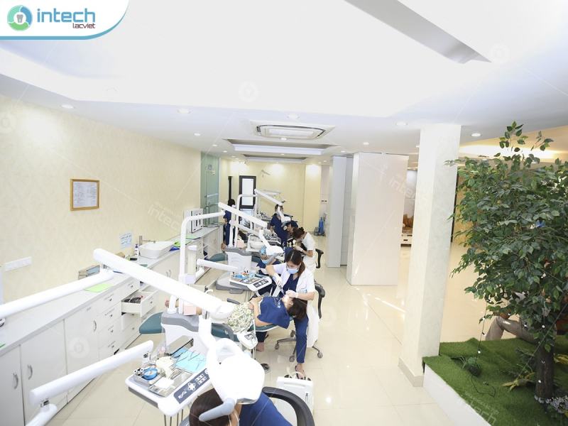 The team of orthodontists is examining and treating customers