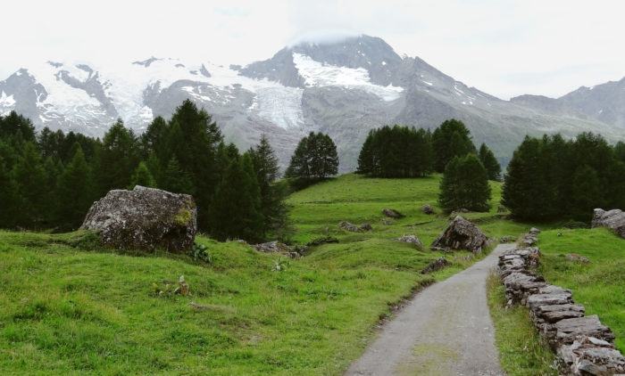 Trail du Mont Blanc