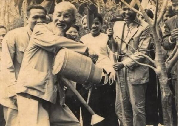 Uncle Ho planted a banyan tree in Vat Lai commune, Ba Vi, Ha Tay (now Hanoi) on February 16, 2