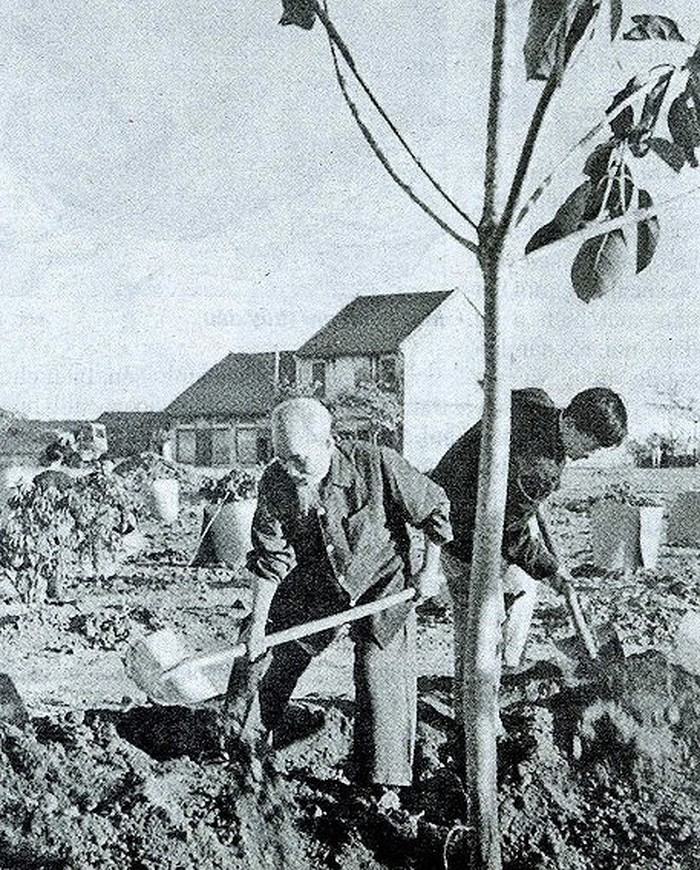 President Ho Chi Minh is the originator and endless source of inspiration for the movement "Tree planting festival"