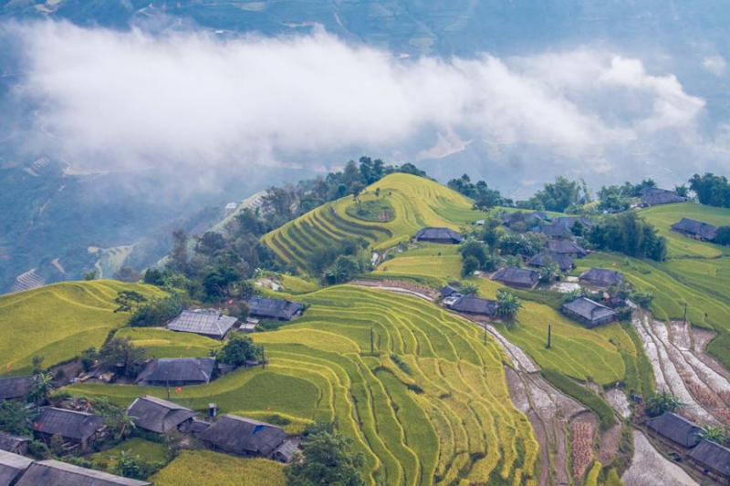 Hoang Su Phi terraced fields
