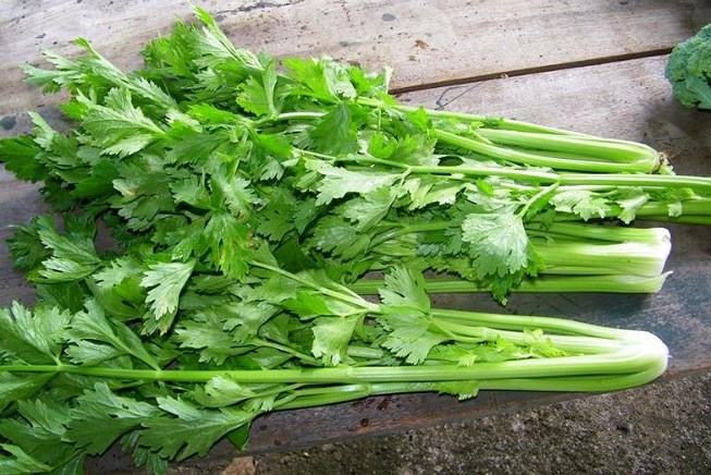 Cure urinary tract infections with parsley