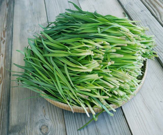 How to cure tonsillitis at home with chives