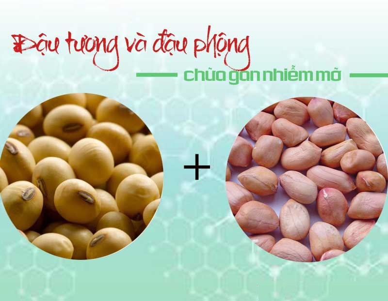 Treat fatty liver disease with soybeans