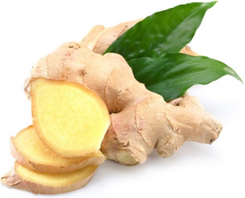 How to cure folk leech nests at home with fresh ginger