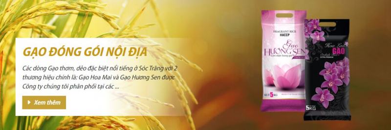 Thanh Tin Rice