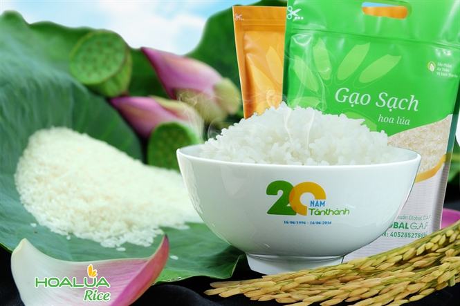Hoa Lua Rice is a pioneering clean rice brand that uses 100% natural extracts for raw materials and is the safest for health in Vietnam.