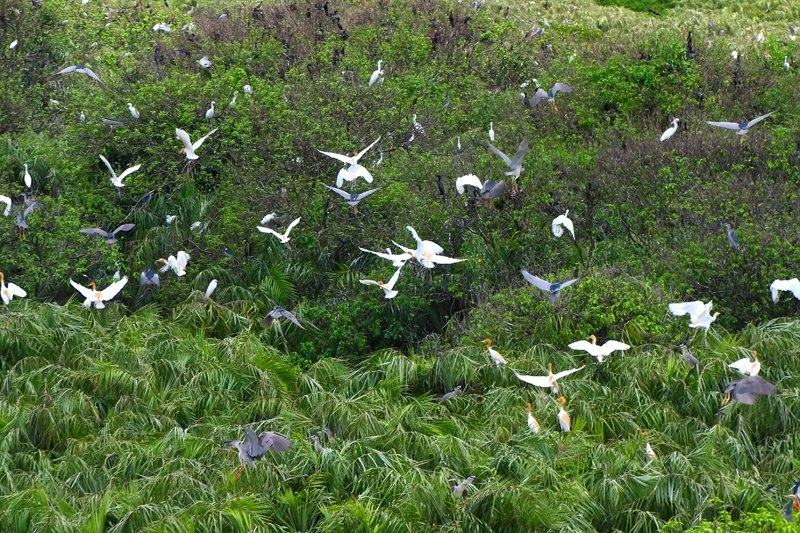 Thu Duc Stork Garden - the most ideal place to go to celebrate April 30 in Ho Chi Minh City