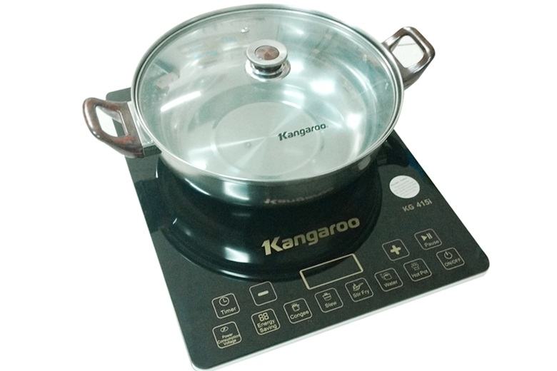 Kangaroo induction cooker KG415i