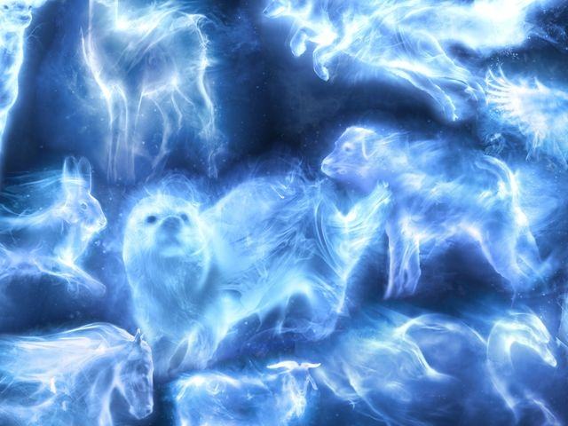 Several forms of the Patronus