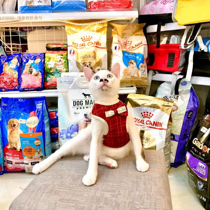 Pet Shop Da Nang