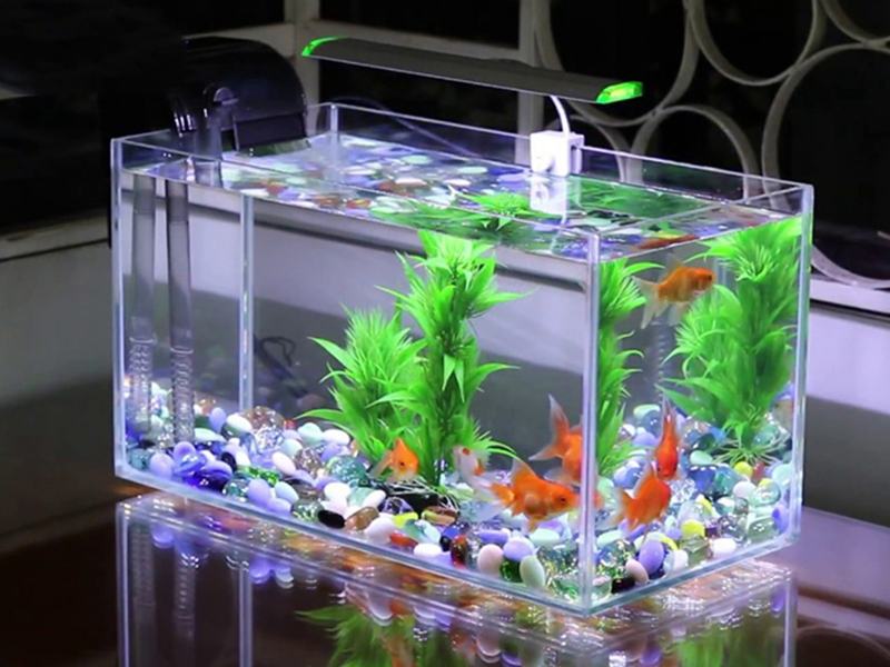Indoor fish farming