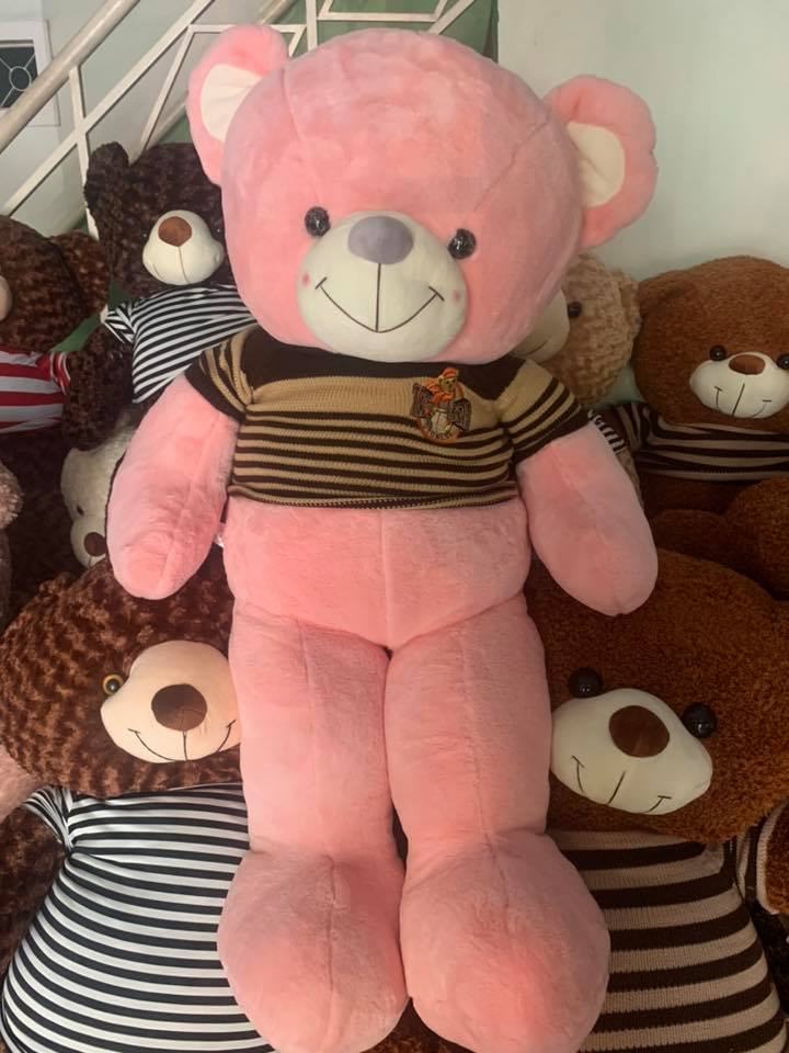 Da Nang cheap teddy bear