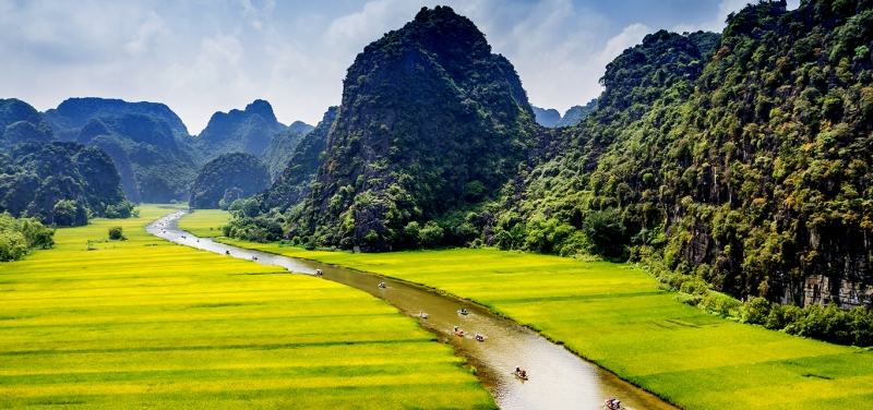 Tam Coc - Bich Dong in the ripe rice season