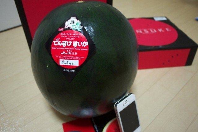 Watermelon Densuke