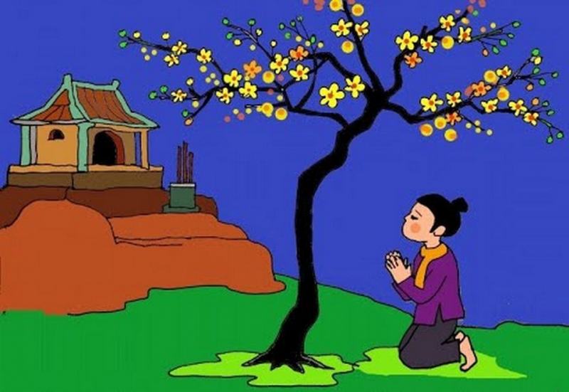 The legend of yellow apricot blossom