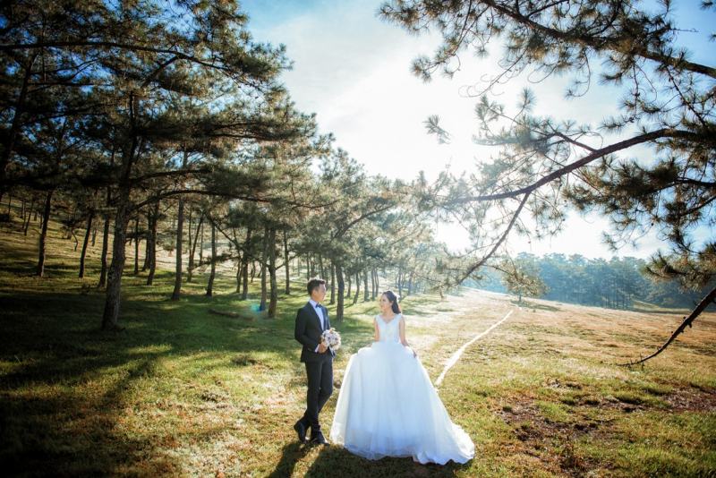Couple clothes highlight the beauty of the bride and groom