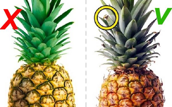 If the pineapple is bright yellow from the stem to the end or a bit green in some places, the fruit is ripe and sweet