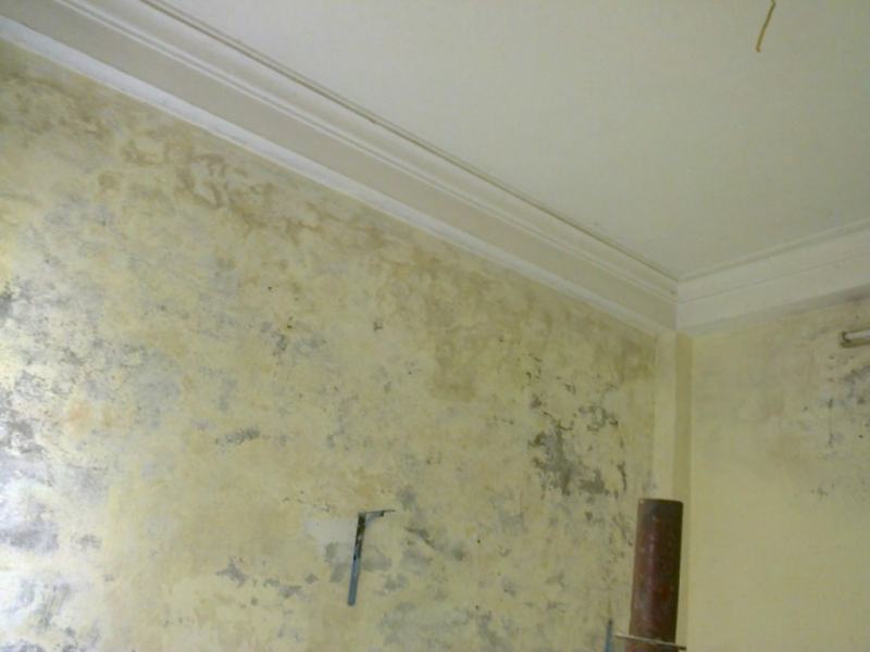 How to remove mold on the wall of the house