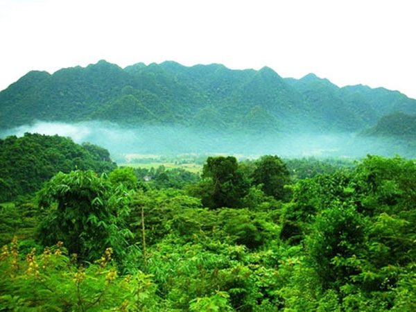 Pu Hu Nature Reserve