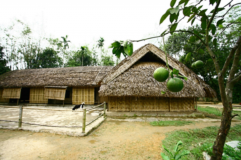 5-room house in Sen village, Nam Dan, Nghe An (VND 500.000 bill)