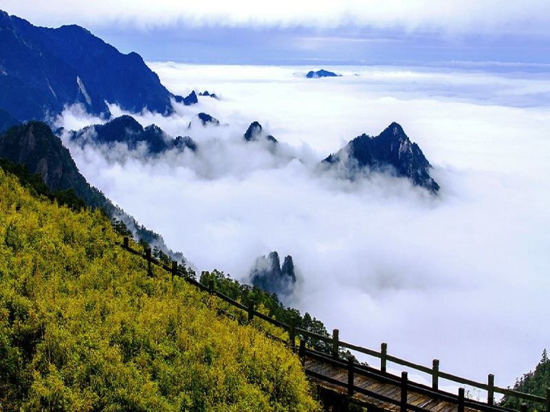 Shennongjia Forest, China