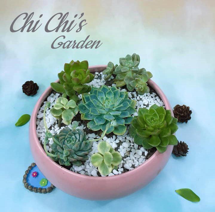 Lovely stone lotus pot at Chi Chi's Garden