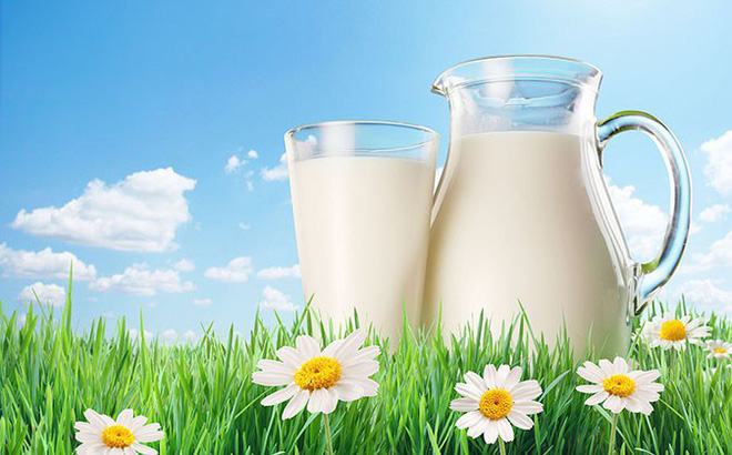 Milk is a drink that helps the body recover the fastest after exercise